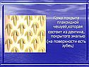 Кожа покрыта плакоидной чешуей,которая состоит из дентина, покрытого