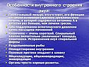 Особенности внутреннего строения акул: