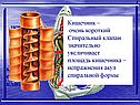 Клоака