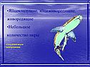 Сельдевая акула живородящая