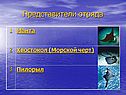Представители отряда