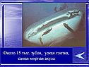 Около 15 тыс