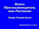 Класс Пресмыкающиеся, или Рептилии Отряд Чешуйчатые