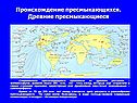 Происхождение пресмыкающихся