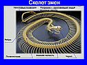 Скелет змеи