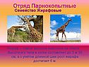 Отряд Парнокопытные