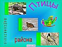 Птицы