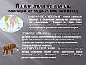 Палеогеновый период