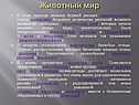 Животный мир
