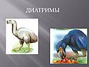 Диатримы