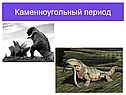 Каменноугольный период