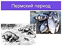 Палеозойская эра по биологии