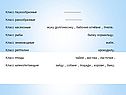 Класс паукообразные