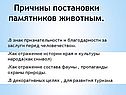 Причины постановки памятников животным