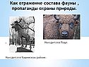 Отражение состава фауны