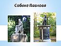 Собаке Павлова