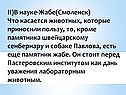 Памятник жабе