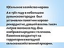 Корова