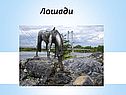 Лошади