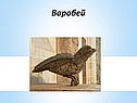 Воробей