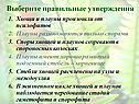 Хвощи и плауны