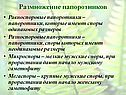 Размножение папоротников