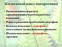 Жизненный цикл папоротника