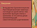 Введение