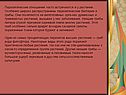 Паразитические отношения часто встречаются и у растений