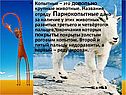 Копытные – это довольно крупные животные