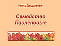 Семейство Паслёновые
