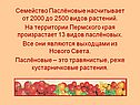 Семейство Паслёновые насчитывает от 2000 до 2500 видов растений