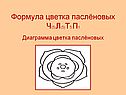Формула цветка паслёновых Ч(5)Л(5)Т5 П1