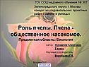Роль пчелы