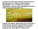 Гнездо пчелиной семьи