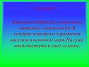 Кембрий