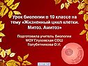 Жизненный цикл клетки