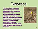 Гипотеза