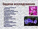 Задачи исследования