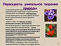 Первоцветы- уникальное творение природы