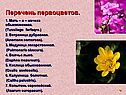 Перечень первоцветов