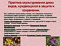 Практика окультуривания диких видов, нуждающихся в защите и сохранении