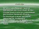 Выводы