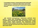 Я проживаю в поселке
