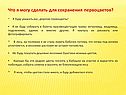 Что я могу сделать для сохранения первоцветов