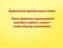 Берегите же красоту наших лесов