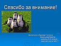 Спасибо за внимание