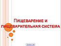 Пищеварение и пищеварительная система