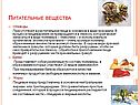Питательные вещества