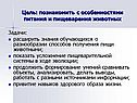 Цель: познакомить с особенностями питания и пищеварения животных